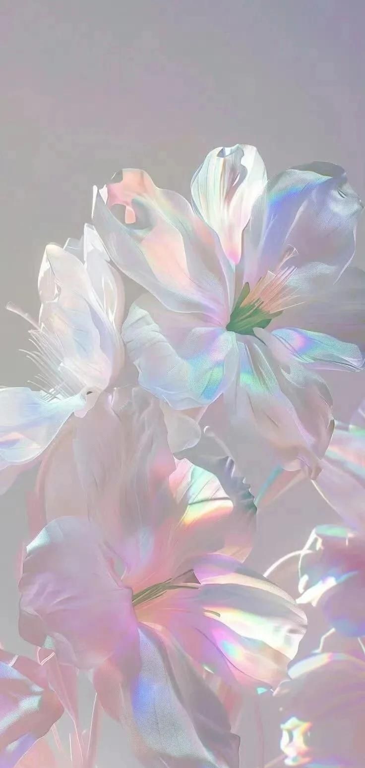 ✨ 免费领取｜INS风小众壁纸合集 ✨