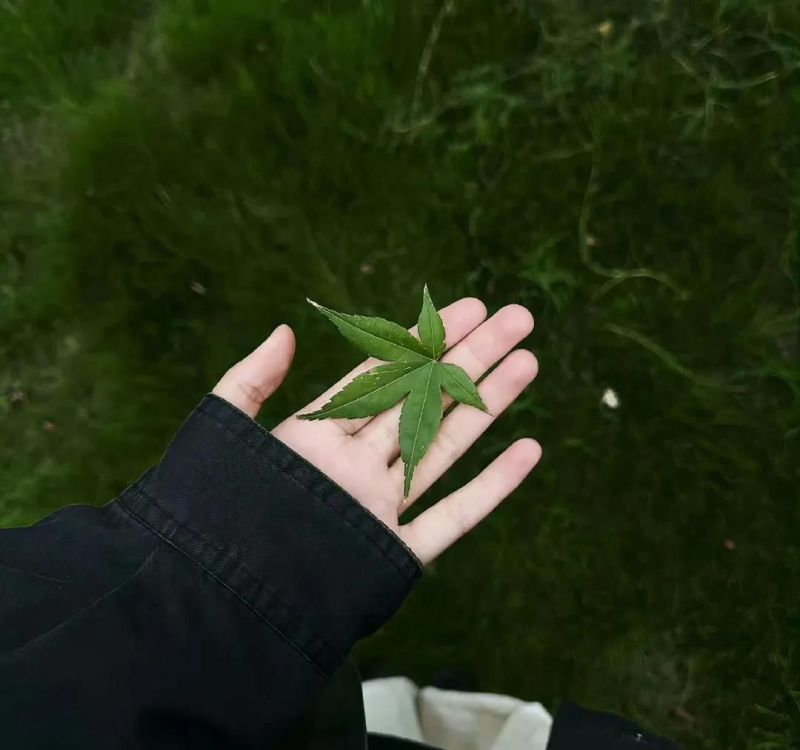 治愈系背景图｜简单干净ins风 - 家居知识