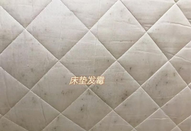 榻榻米定制需谨慎，6种问题太常见，难怪售货员抱怨“销量大跌” - 家居知识