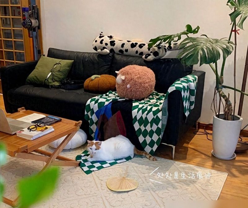 一位四川姑娘的日式客厅：套内90㎡的家，客厅装修太有质感，羡慕 - 家居知识