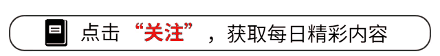 厨房橱柜定制必看！10个避坑要点让你装完不后悔 - 家居知识