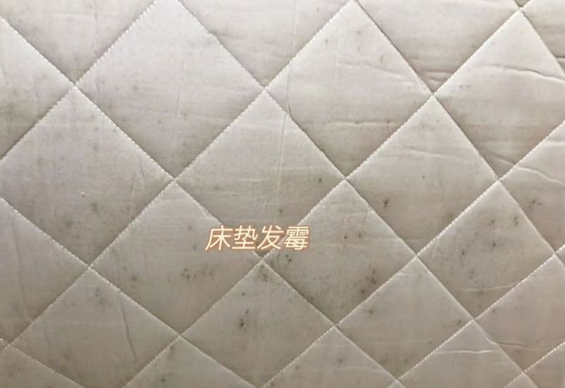 榻榻米定制需谨慎，6种问题太常见，难怪售货员抱怨“销量大跌” - 家居知识