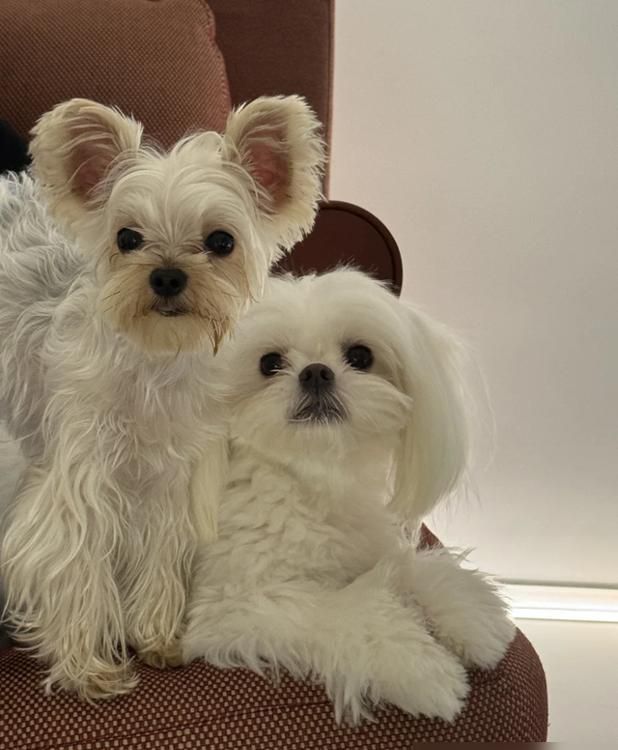 广东姑娘极简风家走红,全屋家徒四壁引惊叹 被广东姑娘极简风家惊呆了,因全屋“家徒四壁”而走红,太干净了 - 家居知识