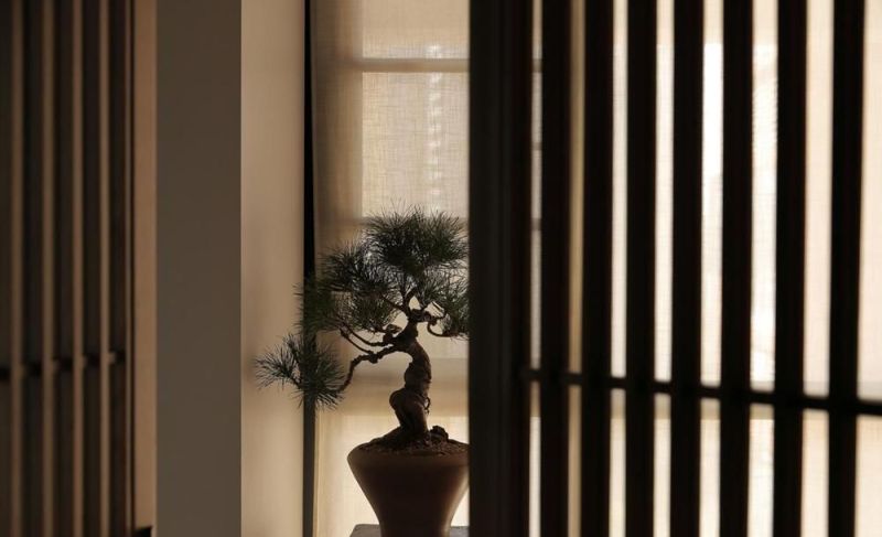 30岁夫妻提前装养老房，105㎡侘寂风藏着最懂生活的禅意 - 家居知识