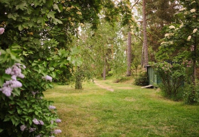 重回上世纪60年代住宅，原木风装饰融合新旧，田园风情令人向往 - 家居知识