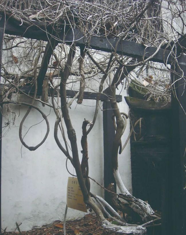 吾之心中侘寂风 - 家居知识