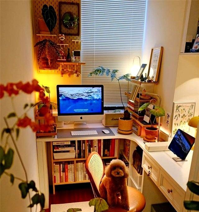 广东男生的4㎡书房火了，因定制两桌一椅走红，半平米都未曾浪费 - 家居知识