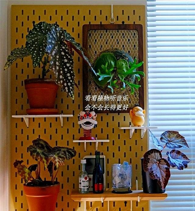 广东男生的4㎡书房火了，因定制两桌一椅走红，半平米都未曾浪费 - 家居知识