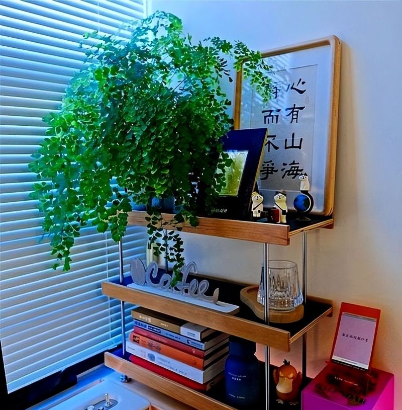 广东男生的4㎡书房火了，因定制两桌一椅走红，半平米都未曾浪费 - 家居知识