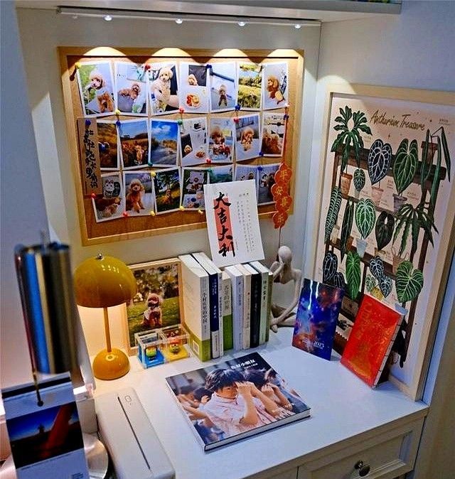 广东男生的4㎡书房火了，因定制两桌一椅走红，半平米都未曾浪费 - 家居知识