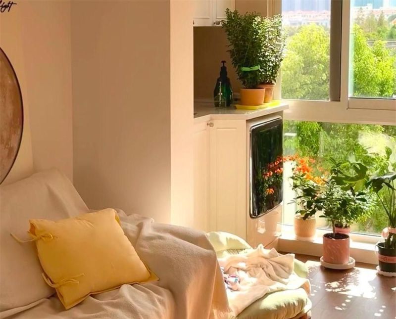 上海夫妻的60㎡小家火了，因“奶油风”太温柔走红，俩人住真的爽 - 家居知识
