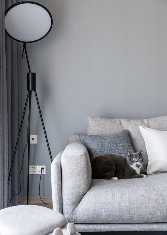 江西一阿姨，因“极简装修”而走红，无吊顶、主灯，那叫一个高级 - 家居知识