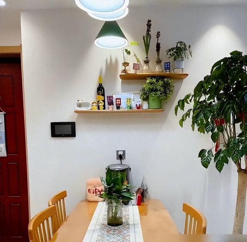 43岁婆婆坚持穷装走红，全屋极简风引热议