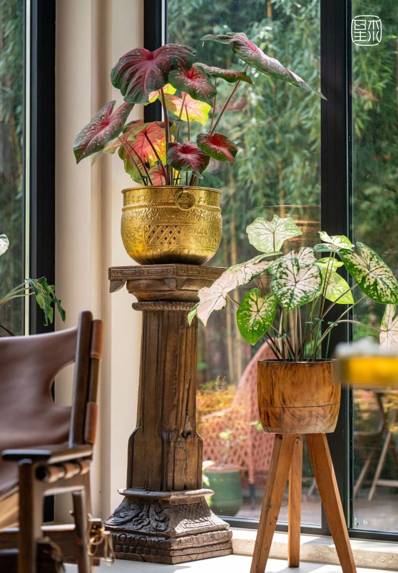 当风格让位于生活：上海跨国夫妻500㎡随性混搭之家 - 家居知识