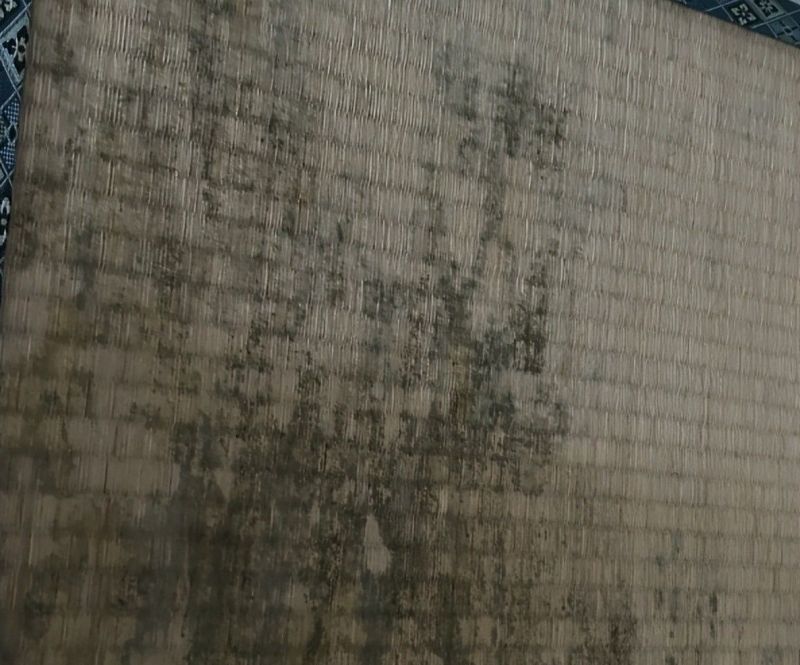 90后拒绝次卧榻榻米,这招太聪明了! 第二套房子:次卧坚决不做“榻榻米”,学学90后的做法,真高明 - 家居知识