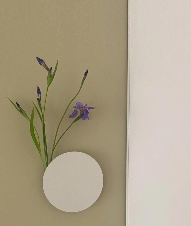 浙江一户人家，因“极简装修”而走红，全屋一件家具都没有，晒晒 - 家居知识