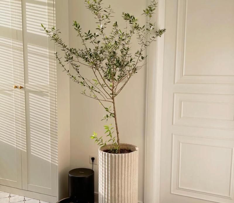 浙江一户人家，因“极简装修”而走红，全屋一件家具都没有，晒晒 - 家居知识