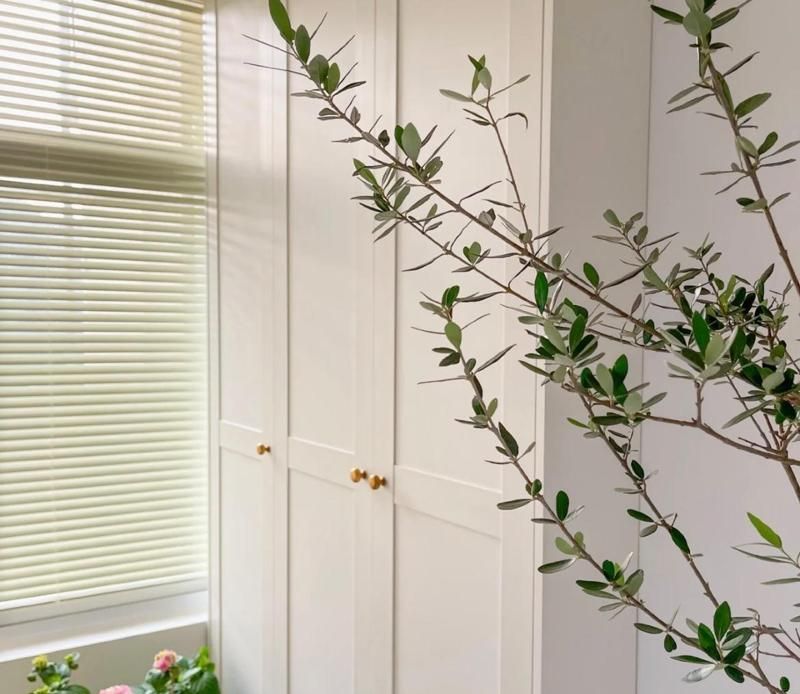 浙江一户人家，因“极简装修”而走红，全屋一件家具都没有，晒晒 - 家居知识