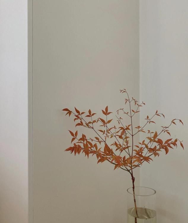 浙江一户人家，因“极简装修”而走红，全屋一件家具都没有，晒晒 - 家居知识