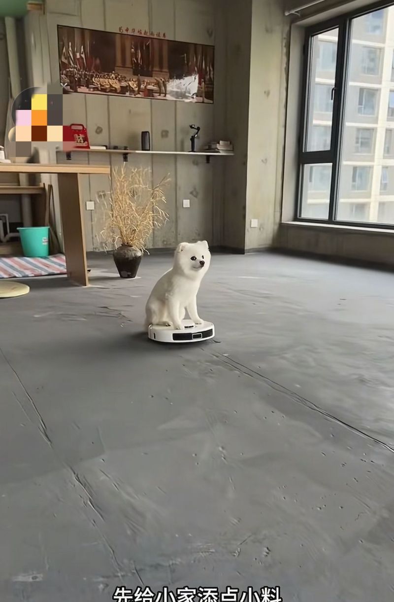 佛系装修+ins风,一砖一瓦打造宅家幸福空间 一砖一瓦筑梦想:佛系装修+ins风,宅家幸福感直接拉满 - 家居知识