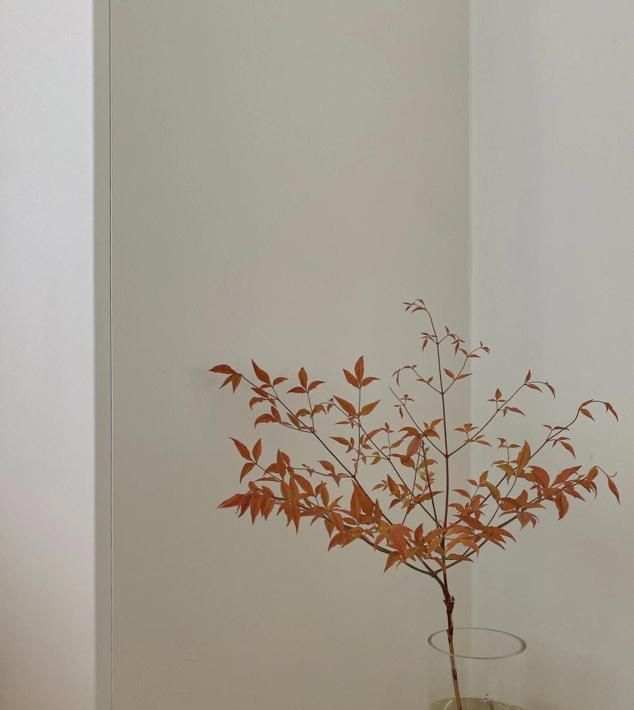 浙江一户人家，因“极简装修”而走红，全屋一件家具都没有，晒晒 - 家居知识