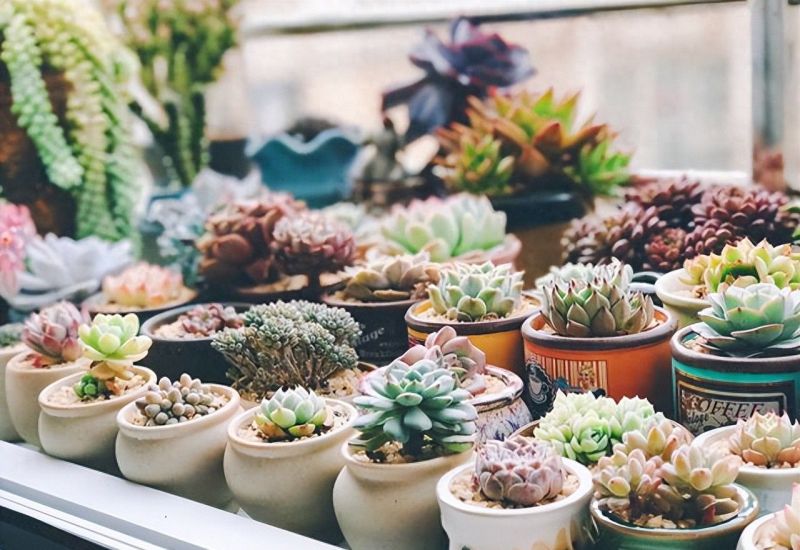 105㎡美式风格装修，用热爱打造精致生活空间