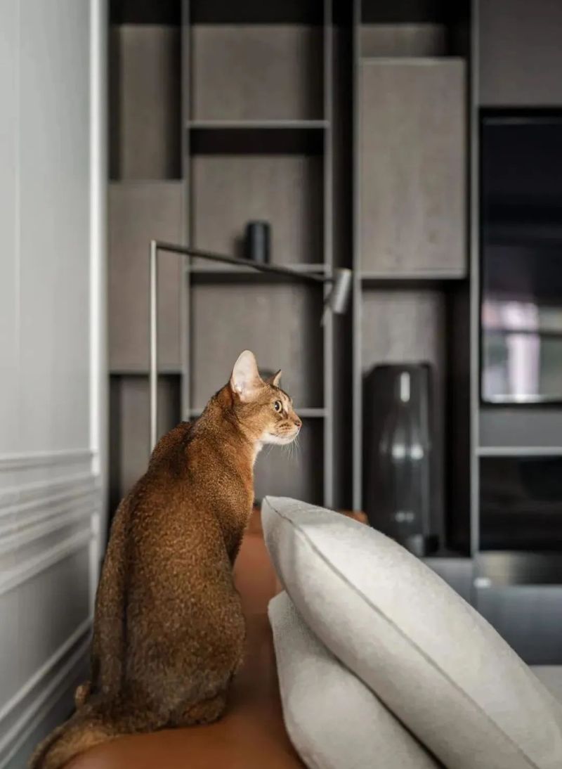 137㎡美式设计，满满的小资情调！ - 家居知识