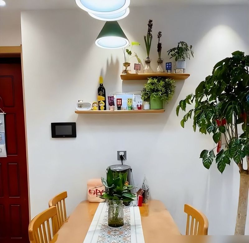 重庆一43岁婆婆，因“坚持穷装”而走红，全屋那叫一个极简 - 家居知识