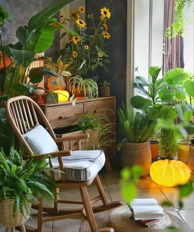 重庆一43岁婆婆，因“坚持穷装”而走红，全屋那叫一个极简 - 家居知识