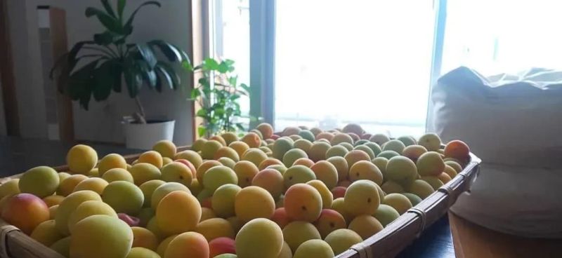 日式原木风小户型装修灵感,打造温馨舒适小家 日式原木小家,小户型装修灵感 - 家居知识