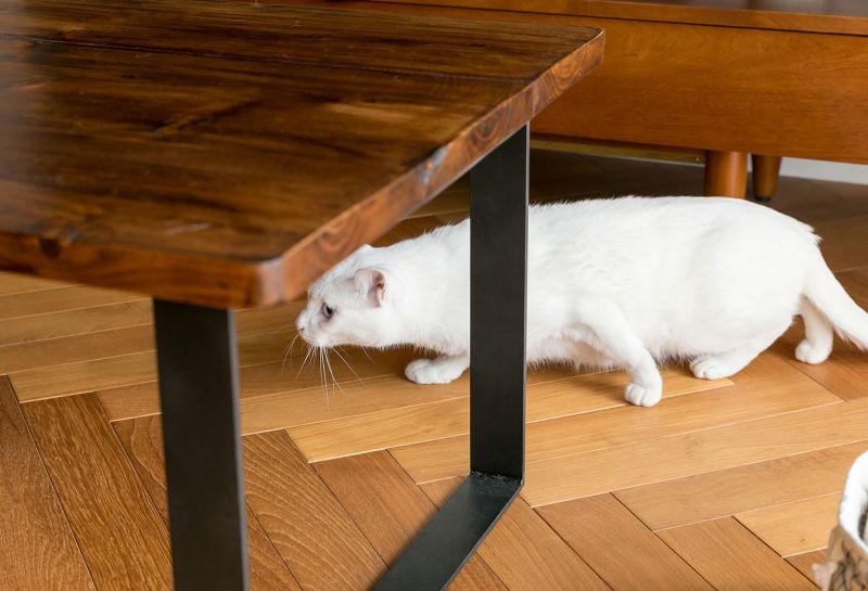 不社交，不乱买，要买就买最好，日本太太把59㎡家布置出高雅生活 - 家居知识