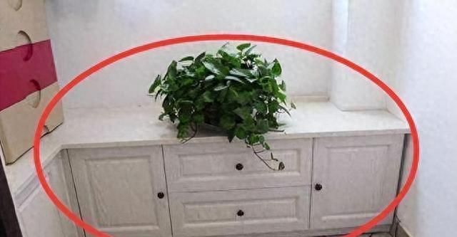 阳台柜别再做满顶，学聪明人这样设计，实用又好看！