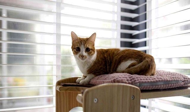 90后夫妻64㎡新房，极简装修，却布置得精致高级，太有品位了！ - 家居知识