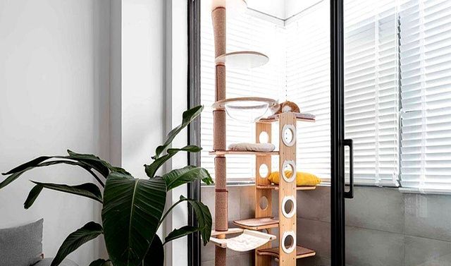 90后夫妻64㎡新房，极简装修，却布置得精致高级，太有品位了！ - 家居知识