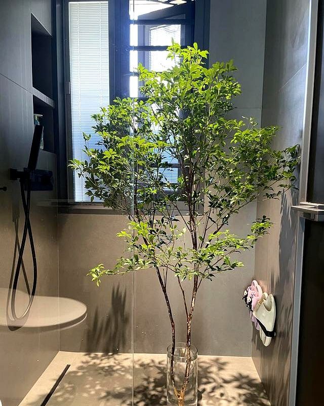 装修坦白局：极简风不翻车的秘密，我找到了！ - 家居知识