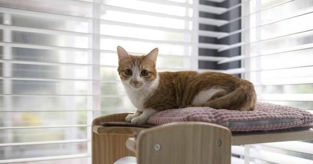 90后夫妻64㎡新房，极简装修，却布置得精致高级，太有品位了！ - 家居知识