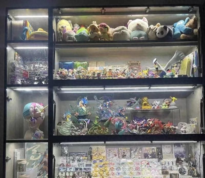 200个手办筑梦次元桥，跨越虚拟与现实的收藏奇观