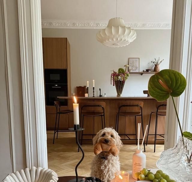 挪威女主的家，复古现代的装饰点亮满屋浪漫，温柔又透露着精致 - 家居知识