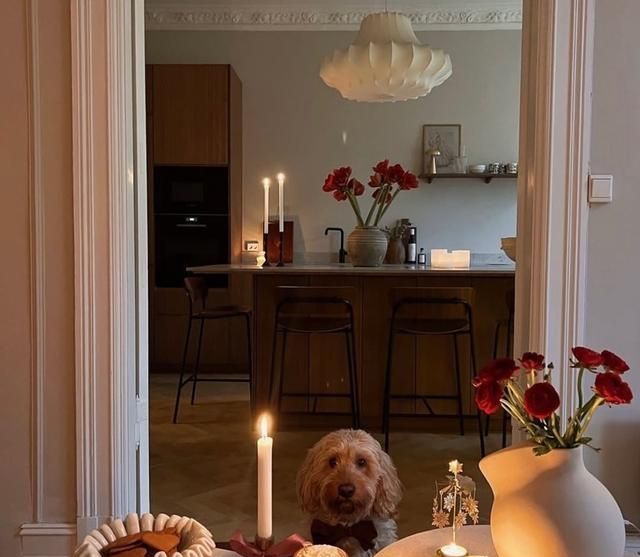 挪威女主的复古现代家,浪漫与精致的温柔邂逅 挪威女主的家,复古现代的装饰点亮满屋浪漫,温柔又透露着精致 - 家居知识