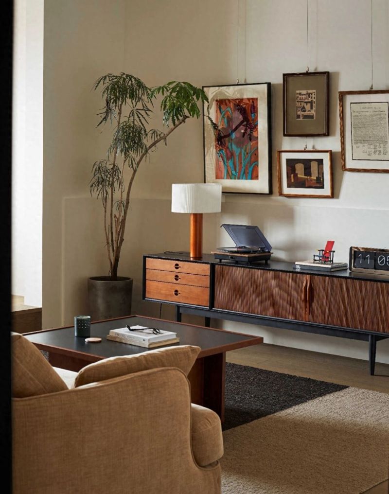 长在我审美上的美拉德电视柜 - 家居知识