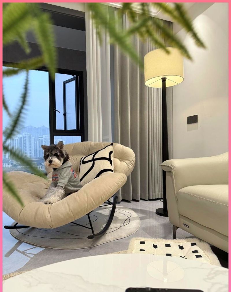 90后夫妻极简风新家走红,全屋温润如玉引网友盛赞 90后夫妻因极简装修走红,全屋温润如玉,网友:这才是理想生活 - 家居知识