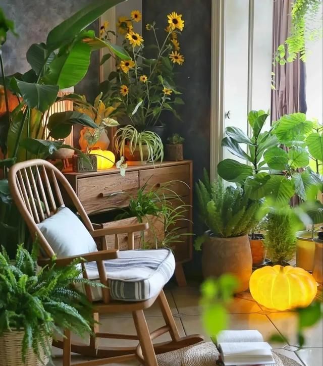 重庆一43岁婆婆，因“坚持穷装”而走红，全屋那叫一个极简，晒晒 - 家居知识