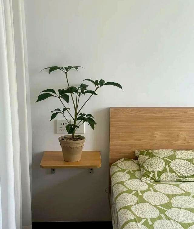 床头柜被年轻人淘汰?新式做法高级又实用,你家还在用吗? “床头柜”已逐渐退出中国家庭。看看年轻人的新式做法,高级又 - 家居知识