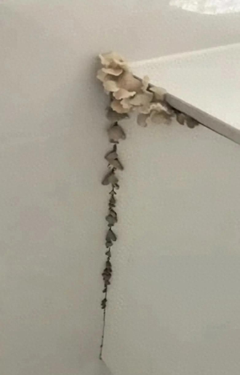 志邦定制卫浴柜使用不到一年长出蘑菇 当事人索赔无果 - 今日头条