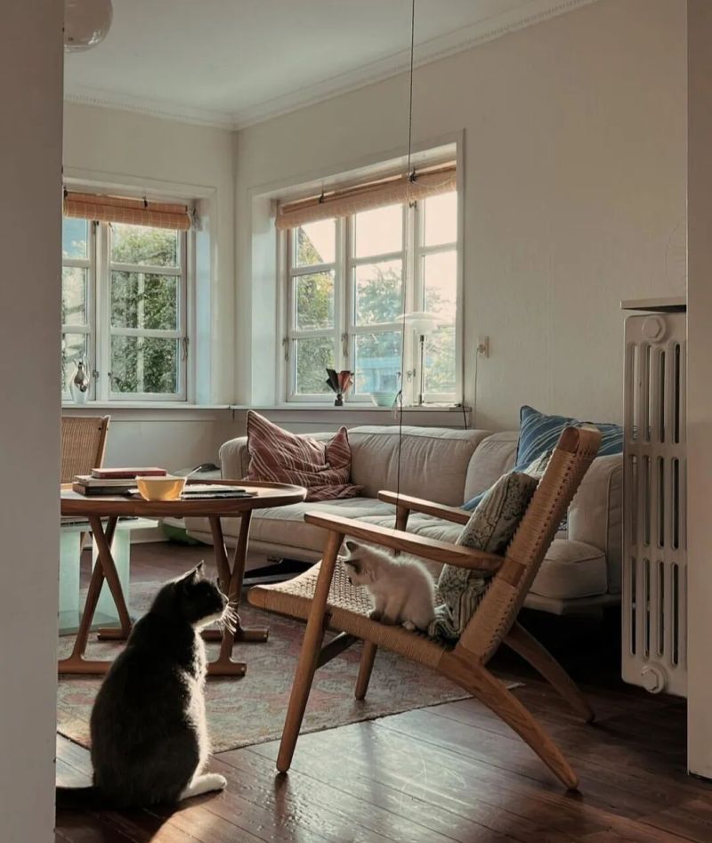 自然简约不失优雅,女主亲手装扮的家见证时光温柔拥抱生活 女主亲手装扮的家,自然简约不失优雅,见证时光温柔拥抱生活 - 家居知识