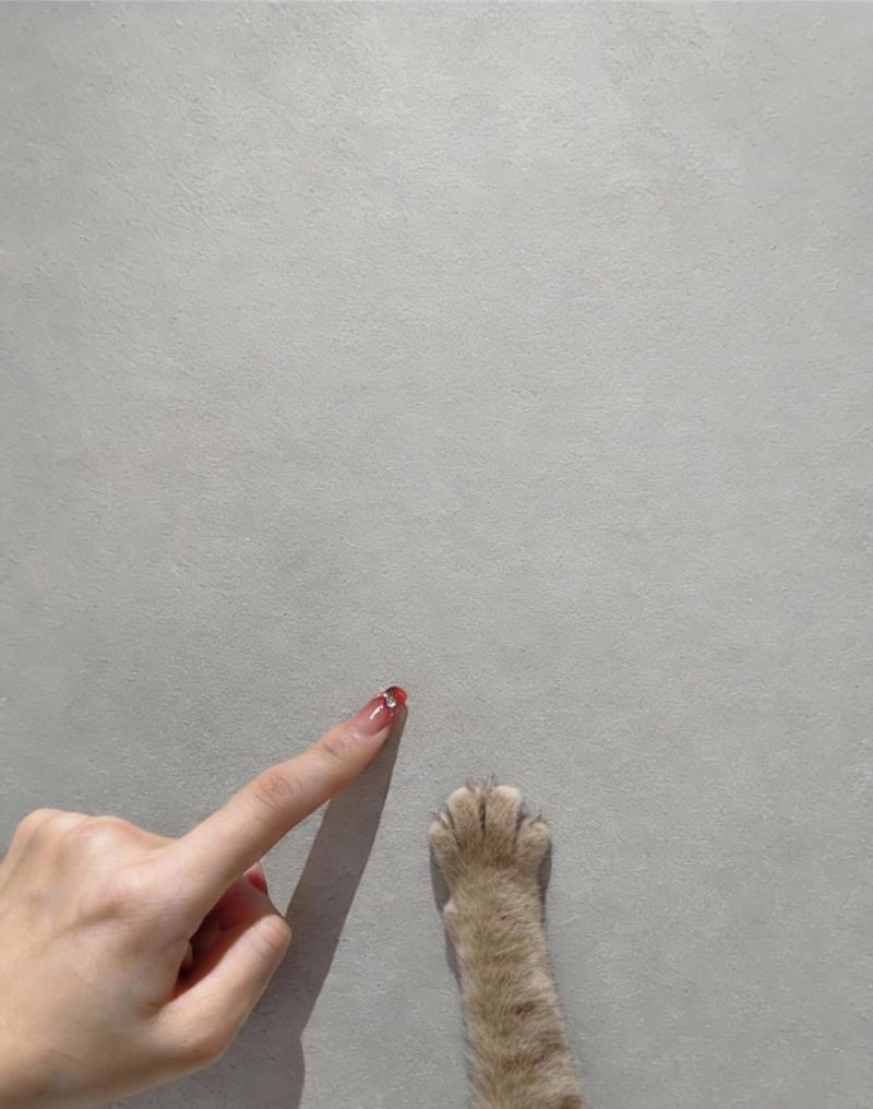 爆火260㎡雅奢侘寂风装修！意式进口艺术涂料，让家自带治愈Buff - 家居知识