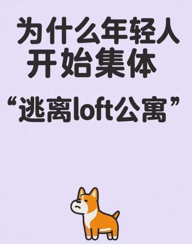 风靡一时的LOFT公寓为何会跌下神坛？原因很现实，这些问题太突出 - 家居知识