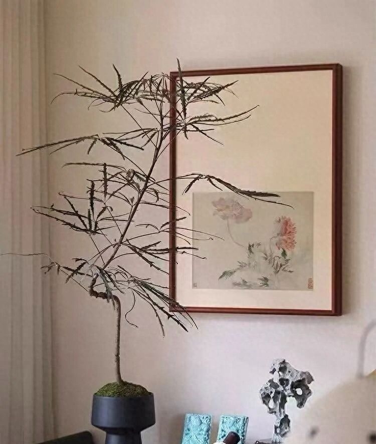 侘寂——不完美的宁静之美 - 家居知识