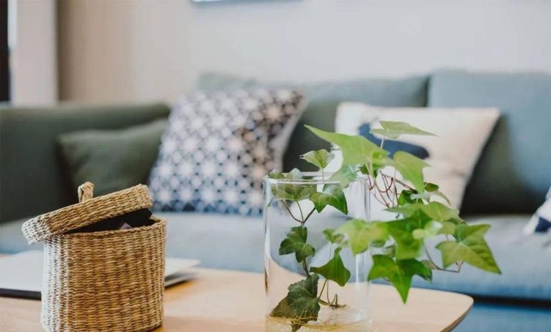 65平北欧风小宅,清新客厅格调满分 65平北欧文艺小户型,被清新整洁舒适的客厅迷住了,真有格调 - 家居知识