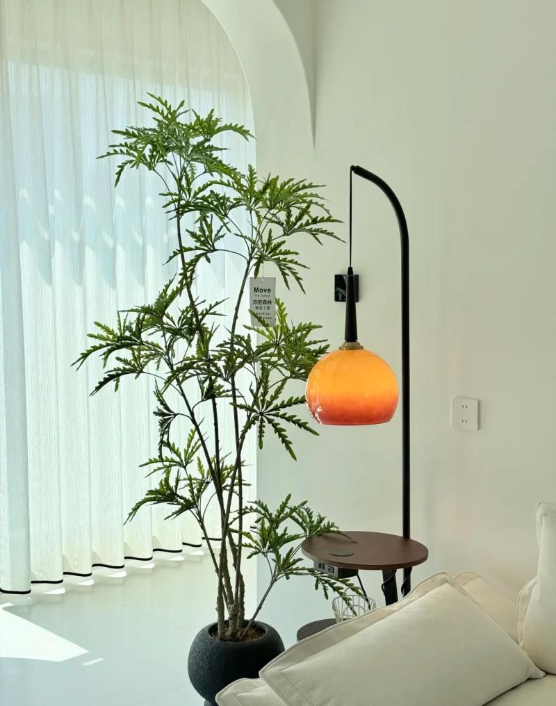 【风格打造】侘寂风家居的灵魂伴侣！3种“不完美之美”的植物 - 家居知识